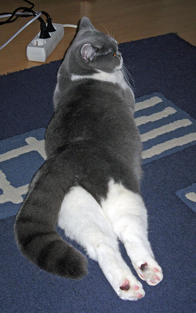 《【未来展望】虚拟偶像与真人主播联手，为电竞添彩》，虚拟偶像 虚拟主播