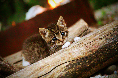 中国足球青训合作项目遍地开花,中国足球青训搞得比较好的球队