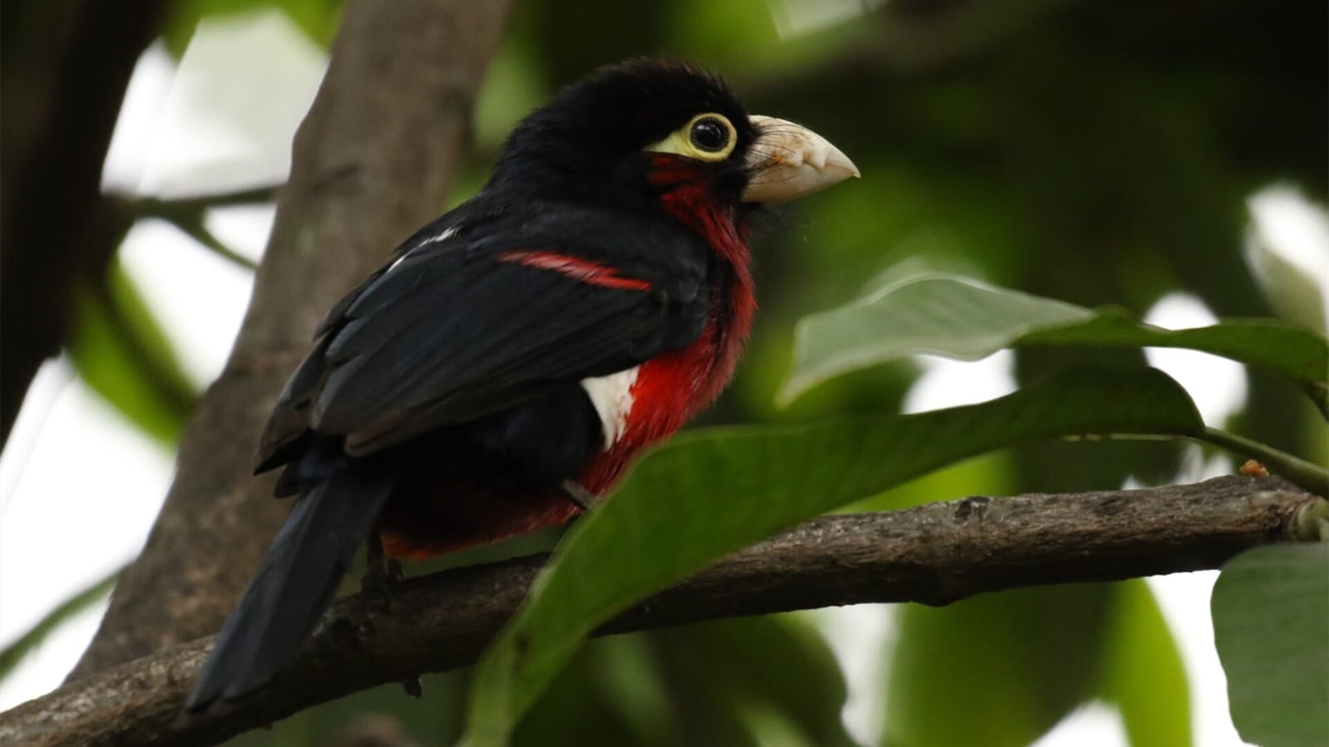 中国足球青训合作项目遍地开花,中国足球青训搞得比较好的球队